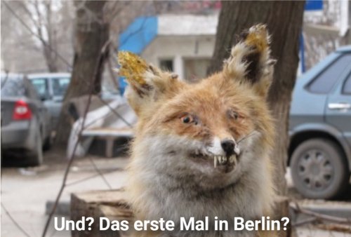 Picdump Nr. 736 (TrendMutti.com)