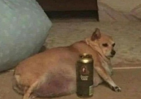 Picdump Nr. 861 (Hornoxe.com)