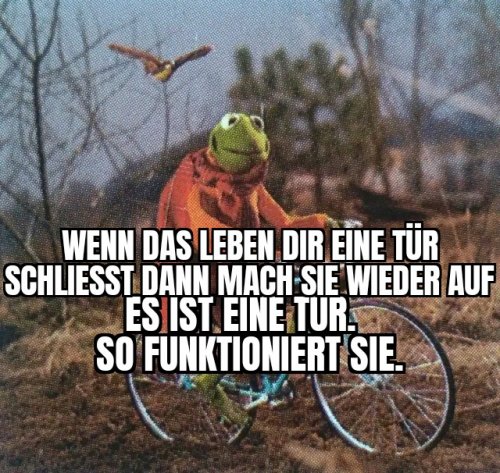 Picdump Nr. 739 (TrendMutti.com)