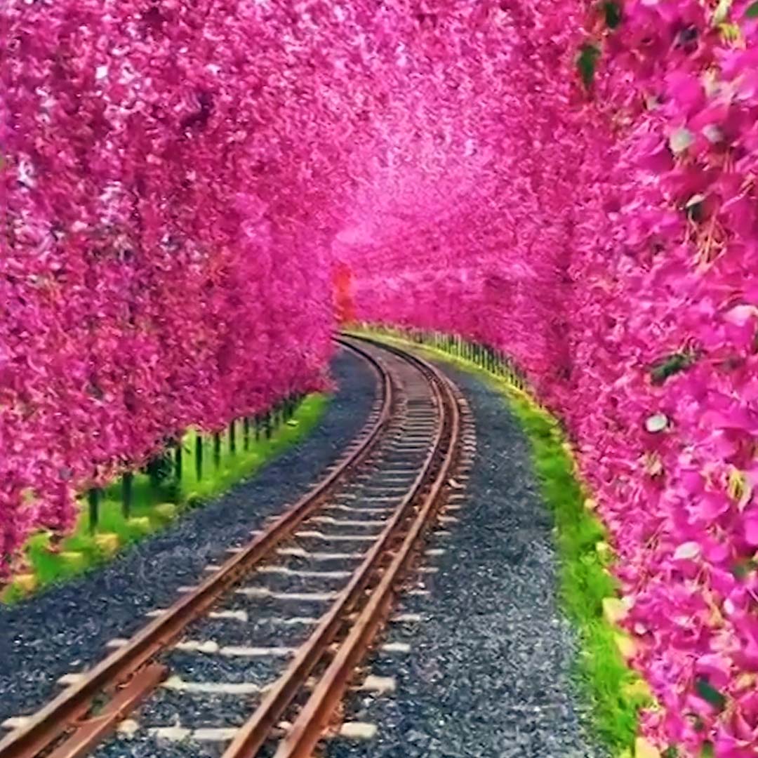 Win Compilation: Rest of 2023 (Teil 2)