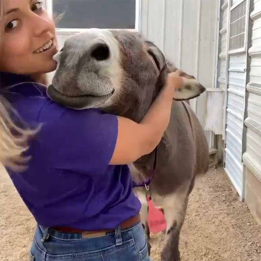 Fluffdump Nr. 18 (LangweileDich.net)