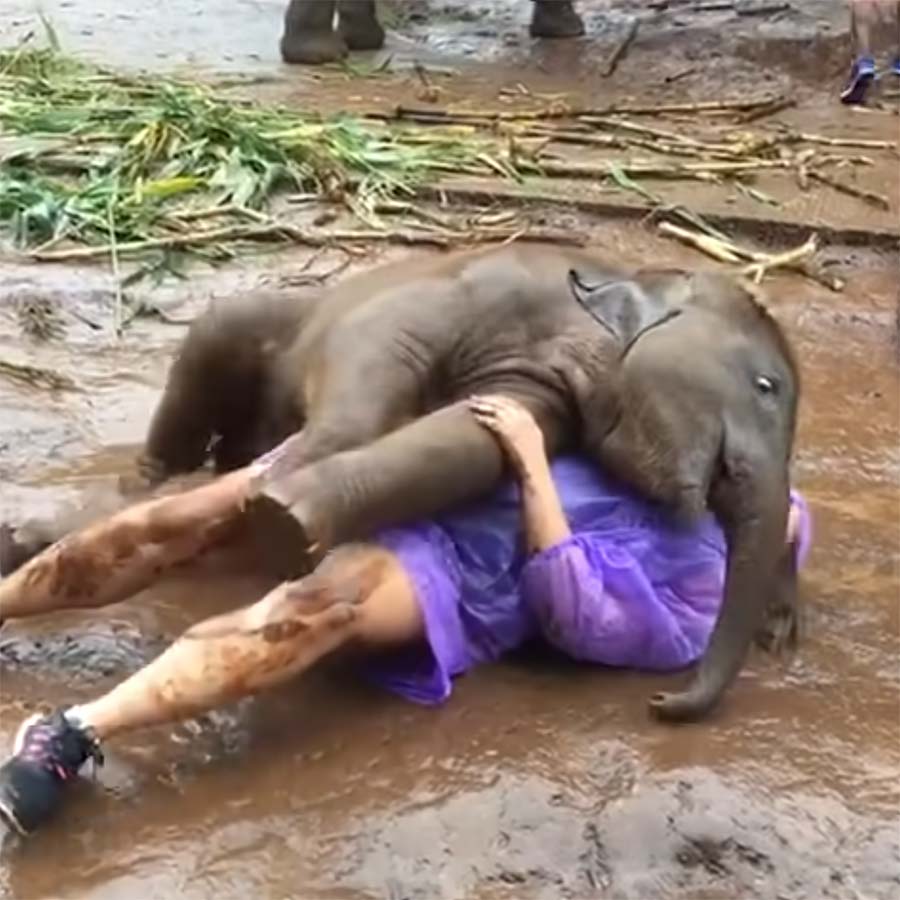 Fluffdump Nr. 19 (LangweileDich.net)