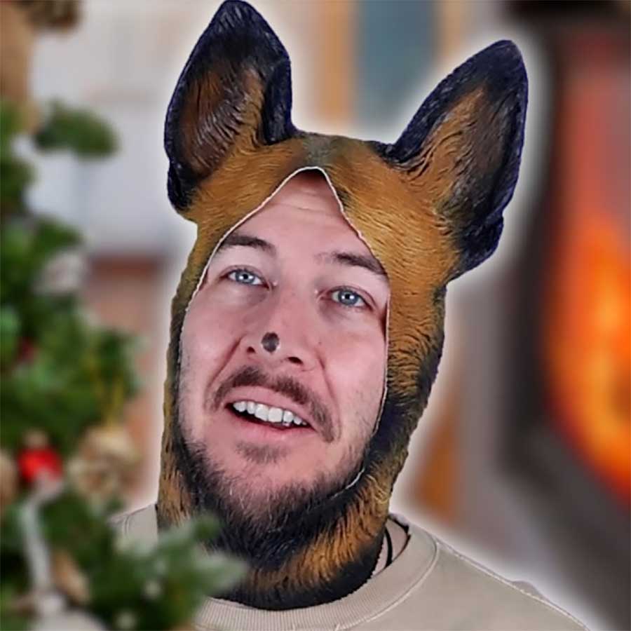 Wenn Hunde einen Weihnachtsbaum sehen…