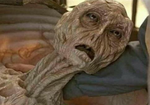 Picdump Nr. 864 (Hornoxe.com)