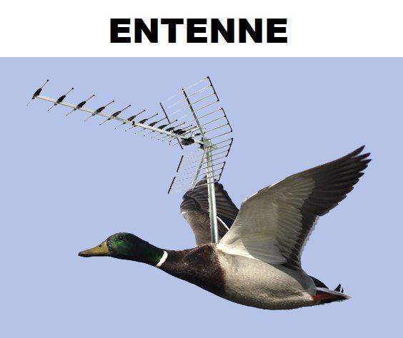 Picdump Nr. 743 (TrendMutti.com)