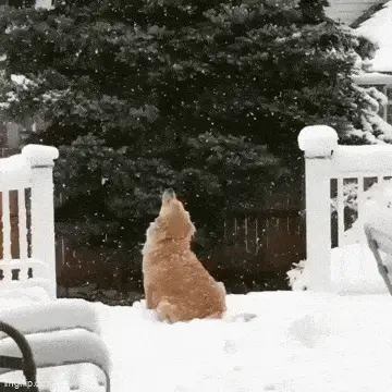 Gifdump Nr. 69 (LangweileDich.net)