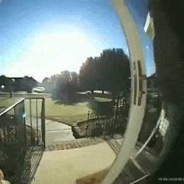 Gifdump Nr. 240119 (Barnorama.com)