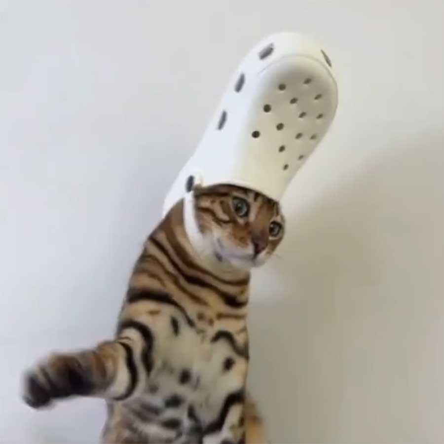 Fluffdump Nr. 20 (LangweileDich.net)