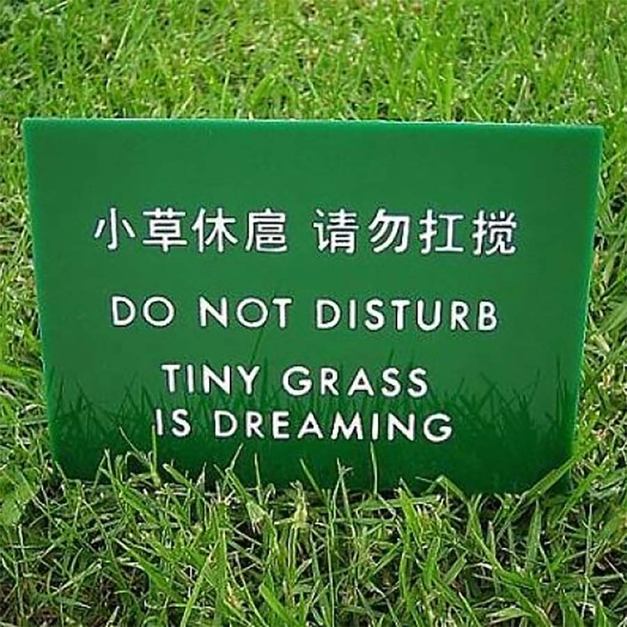 40 schiefgelaufene Übersetzungen