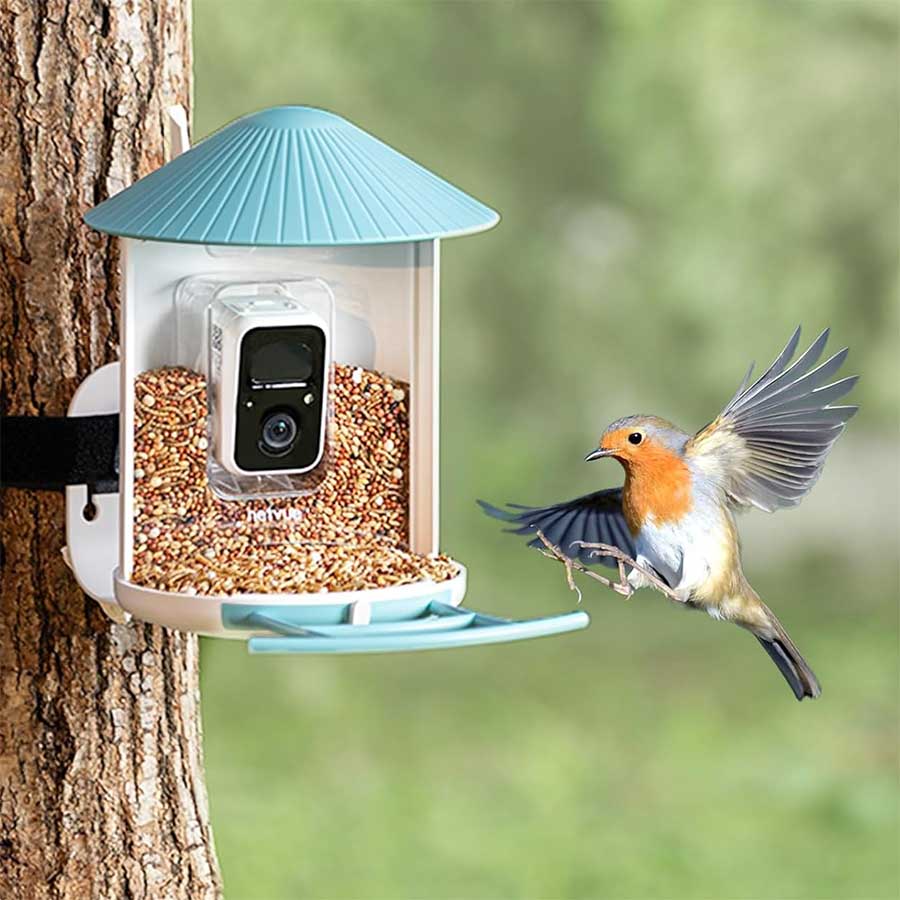 Vogelhaus mit Kamera