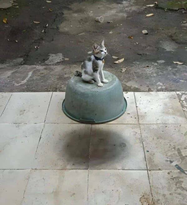 15 Glitches in der Matrix