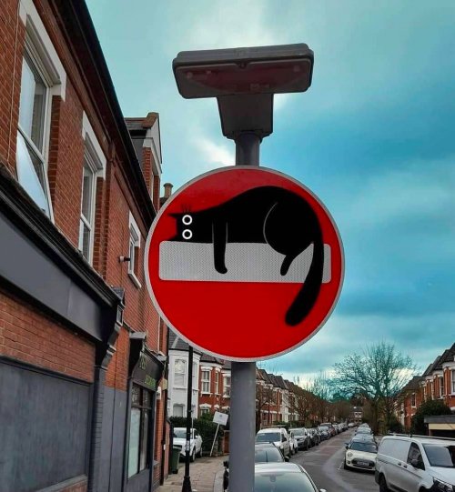 Picdump Nr. 748 (TrendMutti.com)