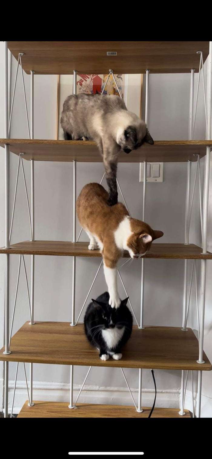 Picdump Nr. 103 (Schmunzeln.net)