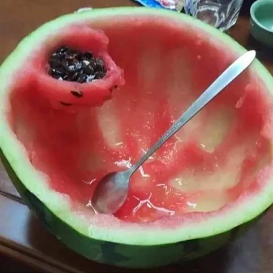 Picdump Nr. 08/2024 (Bildschirmarbeiter.com)