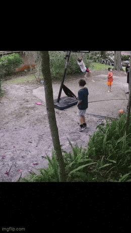 Gifdump Nr. 240216 (Barnorama.com)