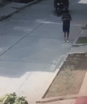 Gifdump Nr. 240202 (Barnorama.com)