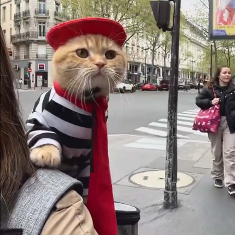 Fluffdump Nr. 25 (LangweileDich.net)