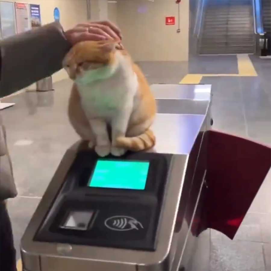 Fluffdump Nr. 27 (LangweileDich.net)