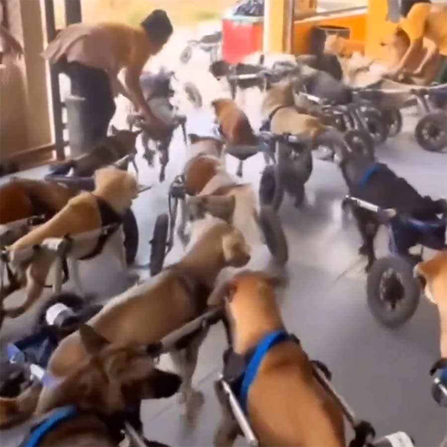 Fluffdump Nr. 28 (LangweileDich.net)