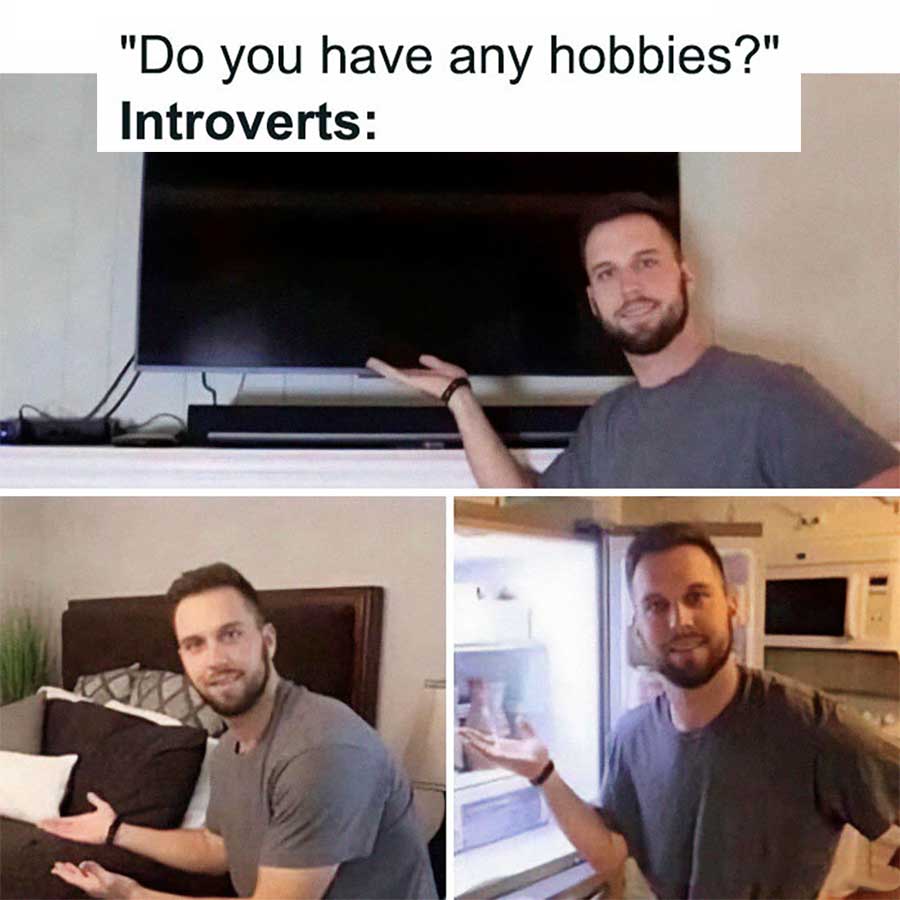 50 Memes für Introvertierte