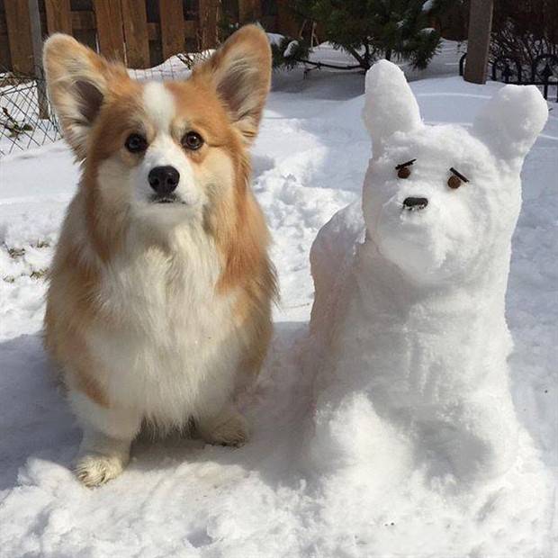 Picdump Nr. 1405 (Klyker.com)