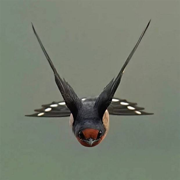 Picdump Nr. 1395 (Klyker.com)