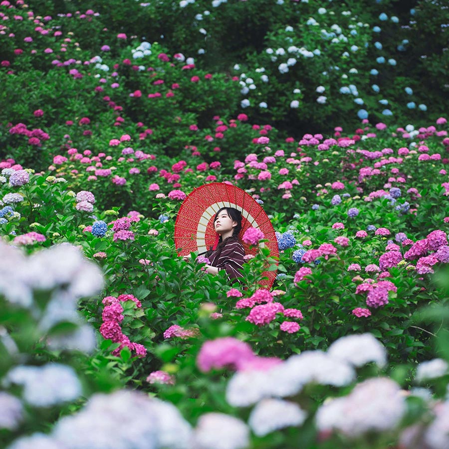 Best of Unsplash Nr. 02/2024