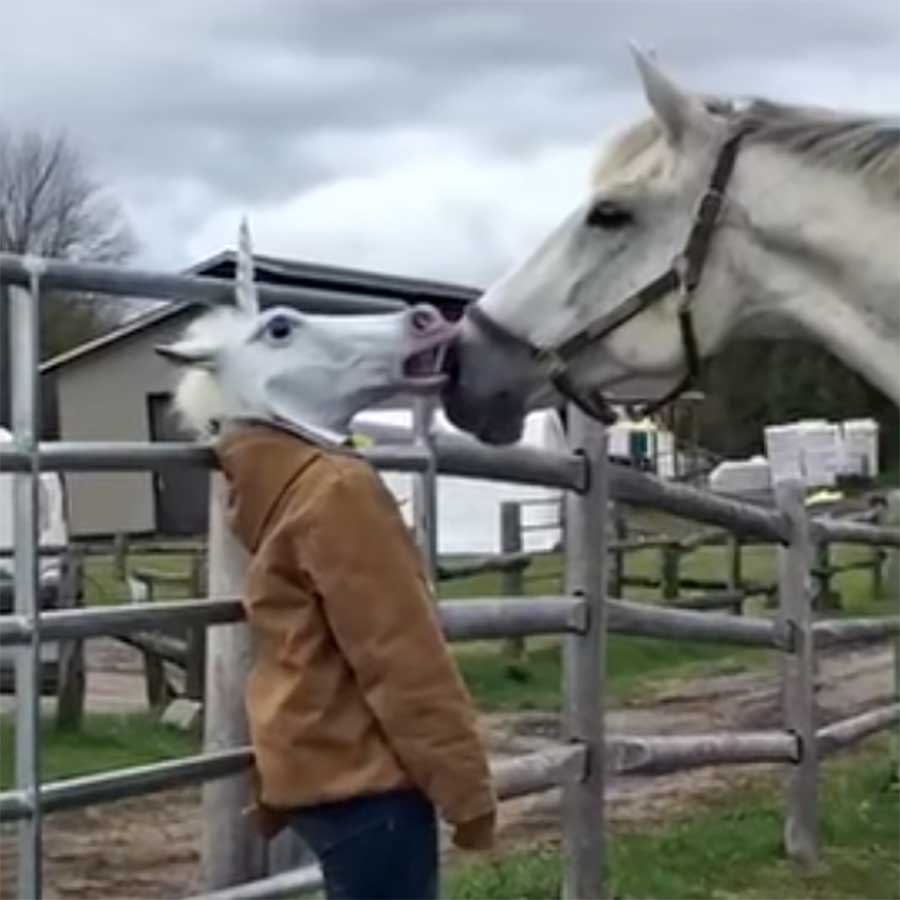 Viddump Nr. 420 (LangweileDich.net)