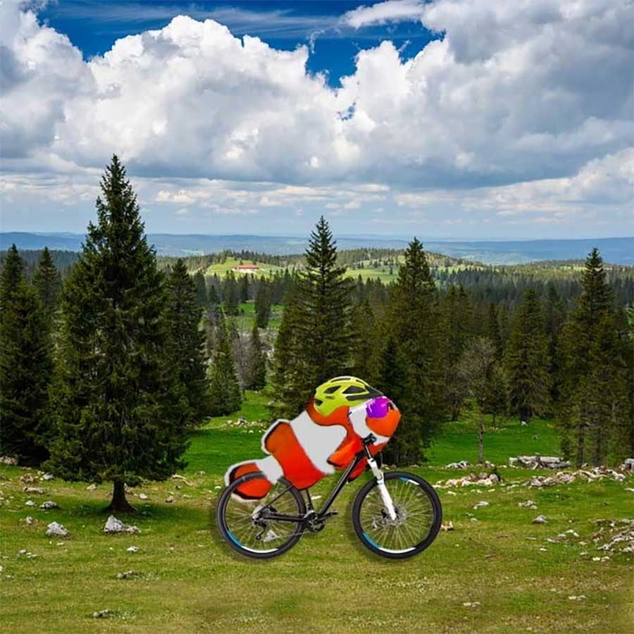 Picdump Nr. 77 (Watson.ch)