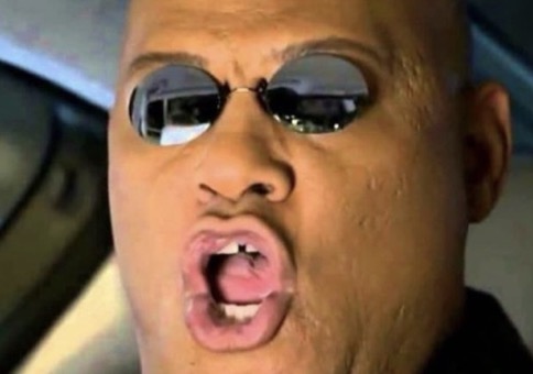 Picdump Nr. 873 (Hornoxe.com)