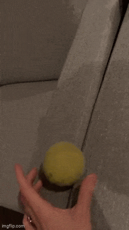 Gifdump Nr. 240321 (Barnorama.com)