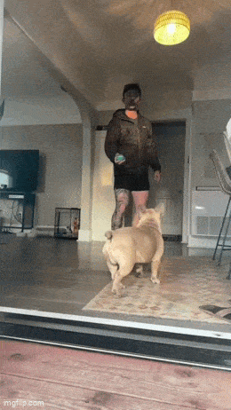 Gifdump Nr. 240314 (Barnorama.com)