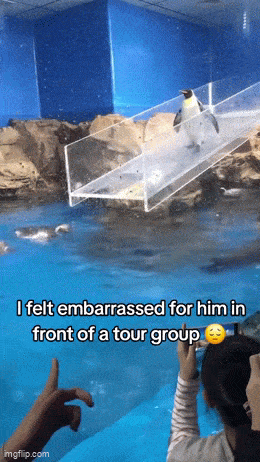 Gifdump Nr. 240329 (Barnorama.com)