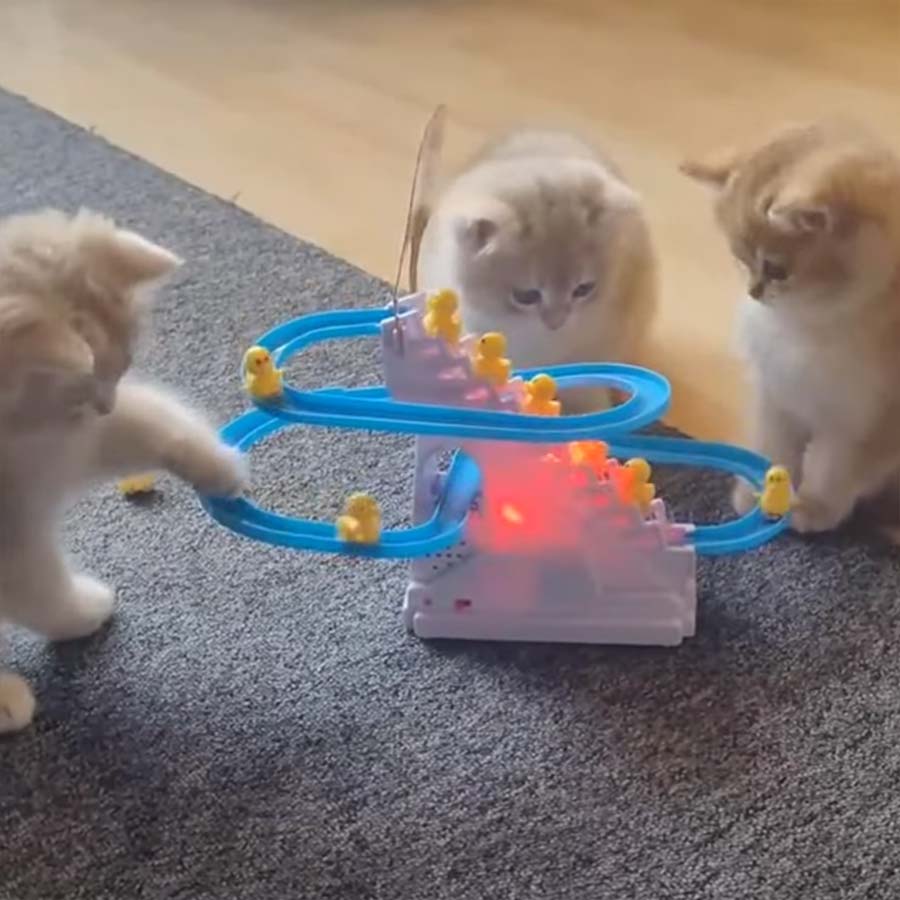 Fluffdump Nr. 30 (LangweileDich.net)