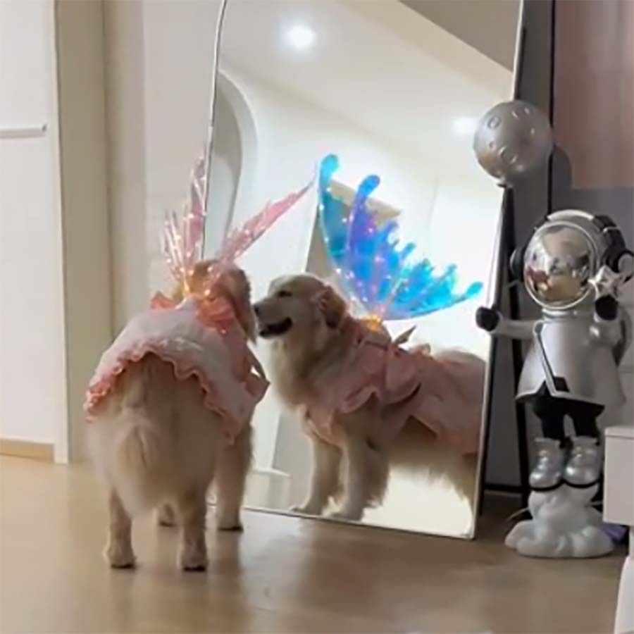 Fluffdump Nr. 32 (LangweileDich.net)