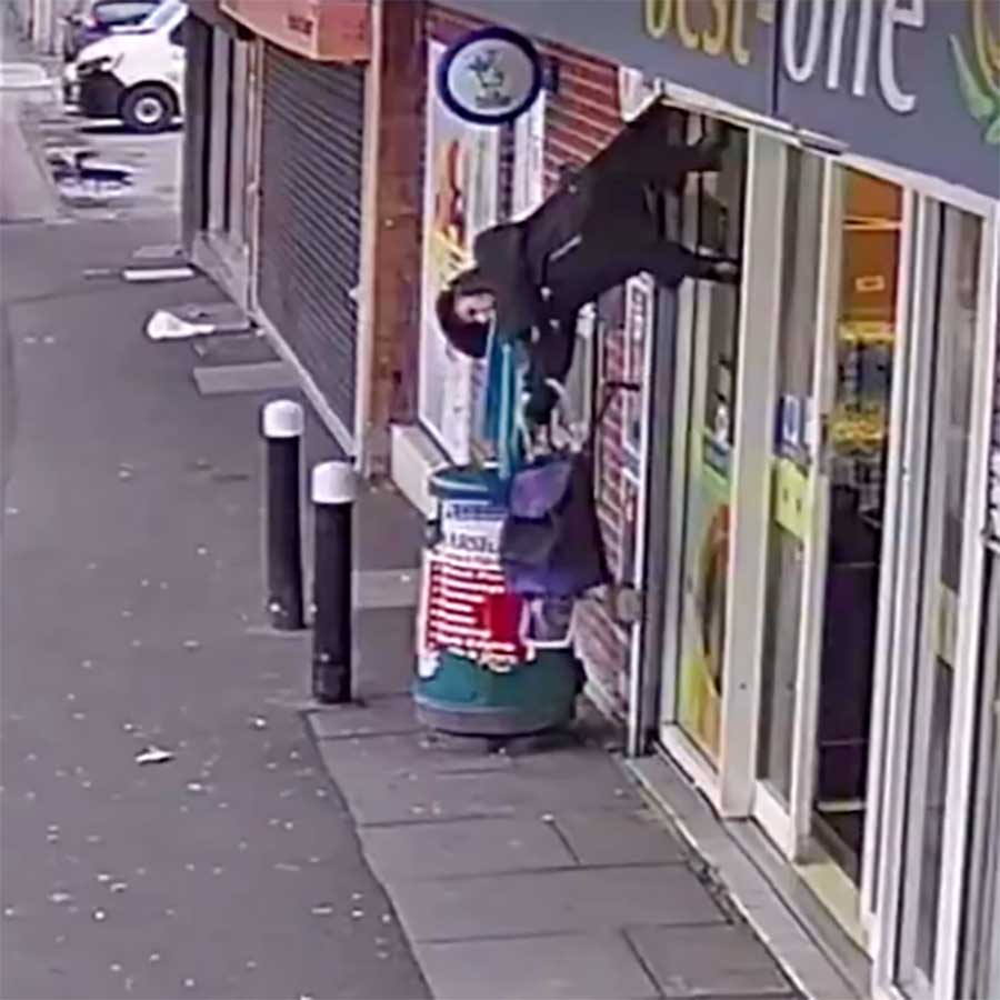 Viddump Nr. 424 (LangweileDich.net)