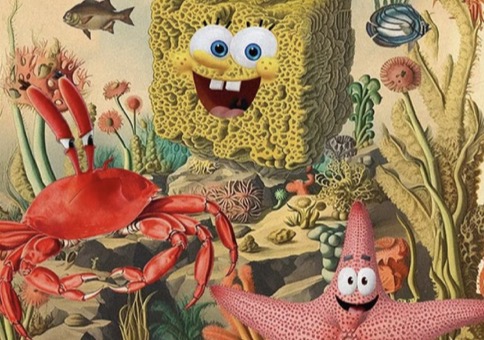 Picdump Nr. 879 (Hornoxe.com)