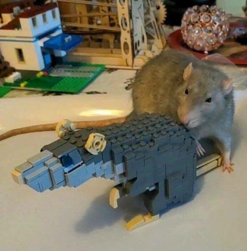 Picdump Nr. 803 (LangweileDich.net)