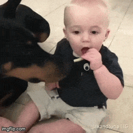 Gifdump Nr. 240425 (Barnorama.com)