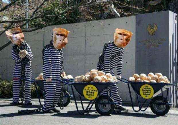 Mass Image Compressor Compressed this image. https://sourceforge.net/projects/icompress/ with Quality:59