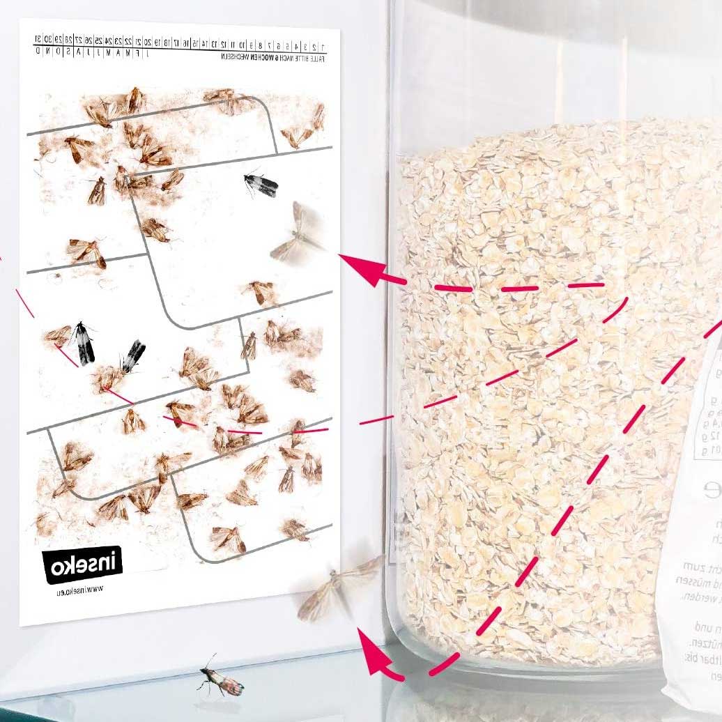 Lebensmittelmotten-Fallen