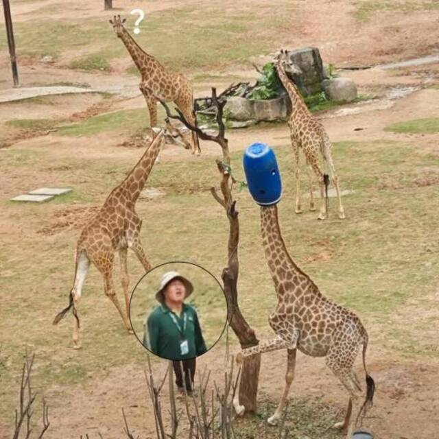 Picdump Nr. 14/2024 (Bildschirmarbeiter.com)