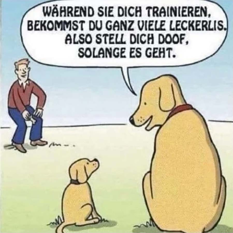 Picdump Nr. 84 (Watson.ch)