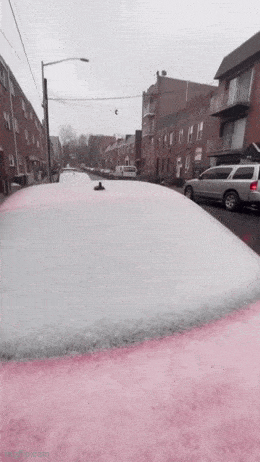 Gifdump Nr. 240523 (Barnorama.com)