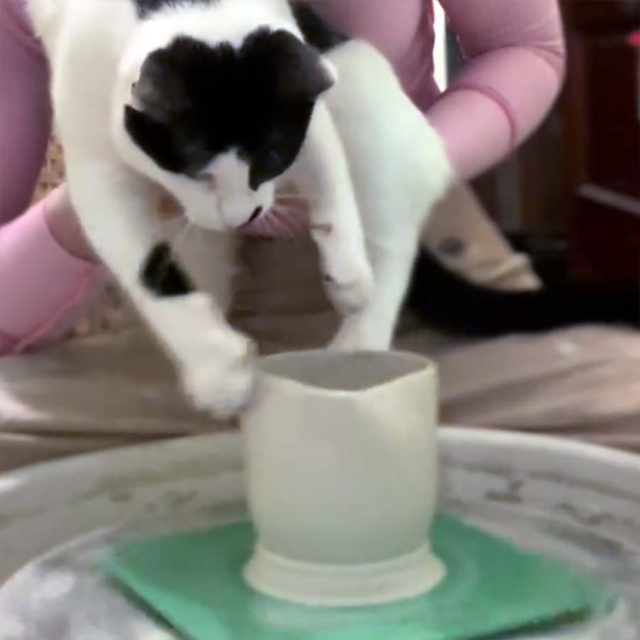 Fluffdump Nr. 37 (LangweileDich.net)