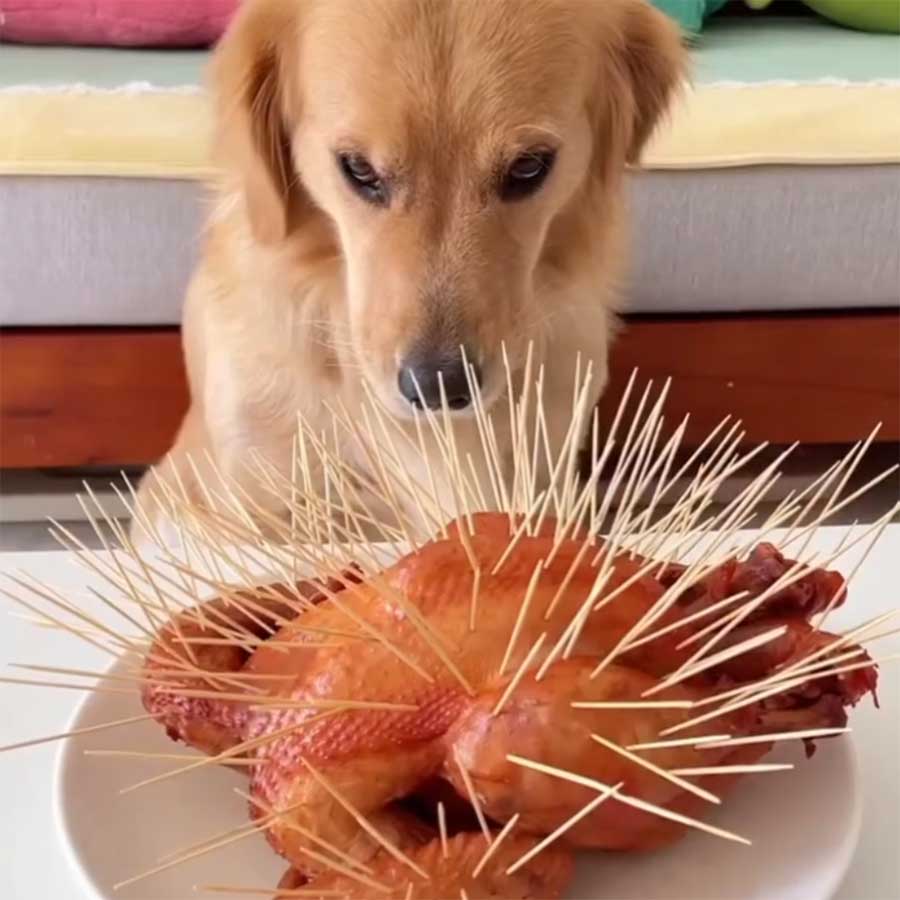 Viddump Nr. 434 (LangweileDich.net)