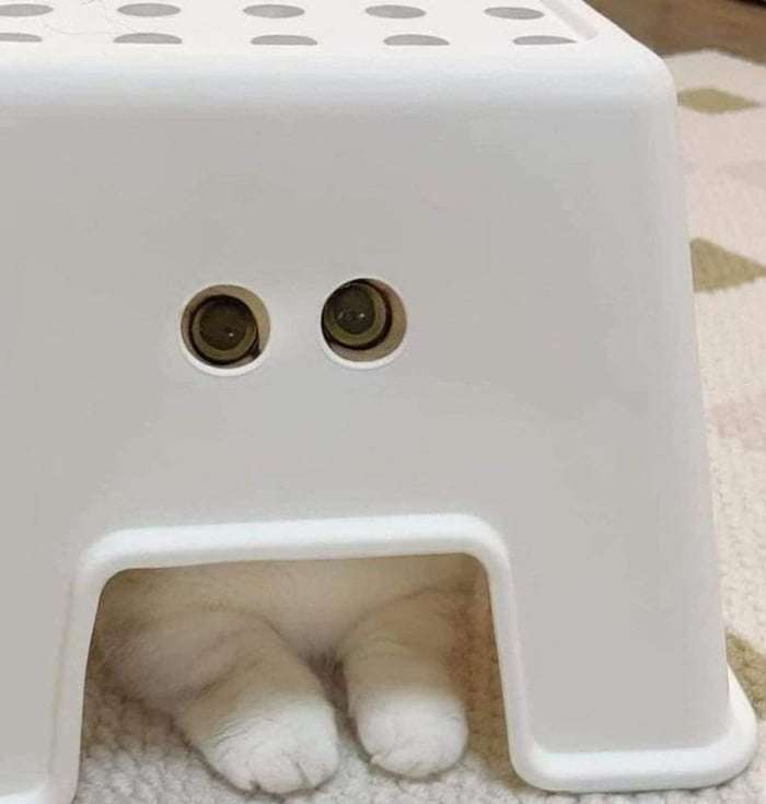 Picdump Nr. 112 (Schmunzeln.net)