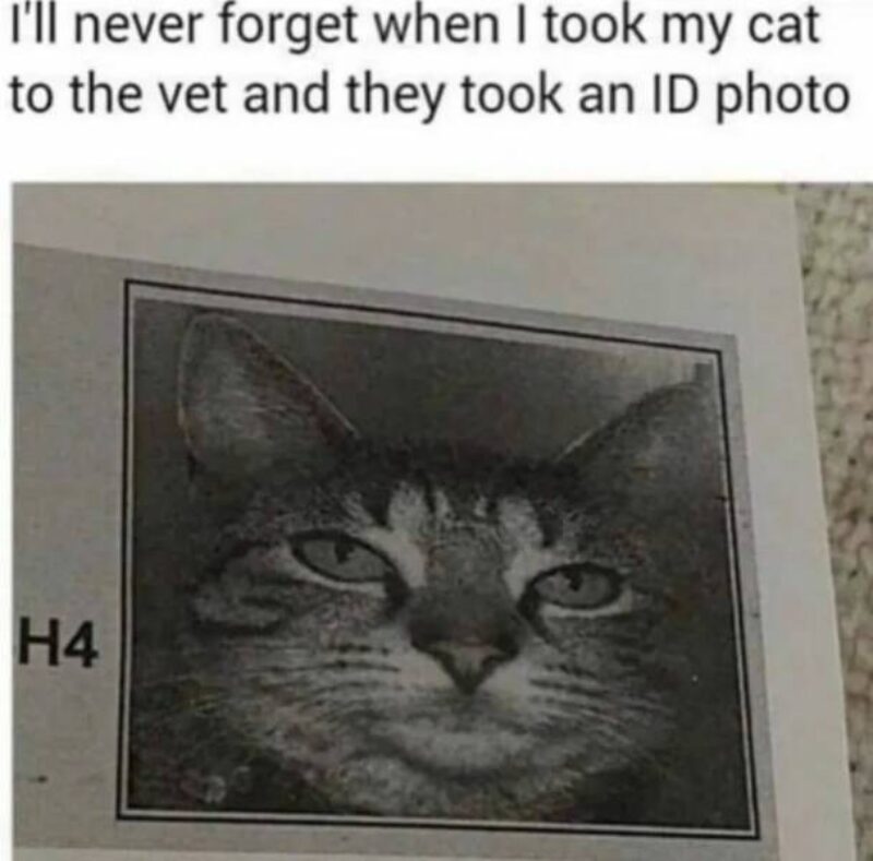 Picdump Nr. 3638 (Skoften.net)