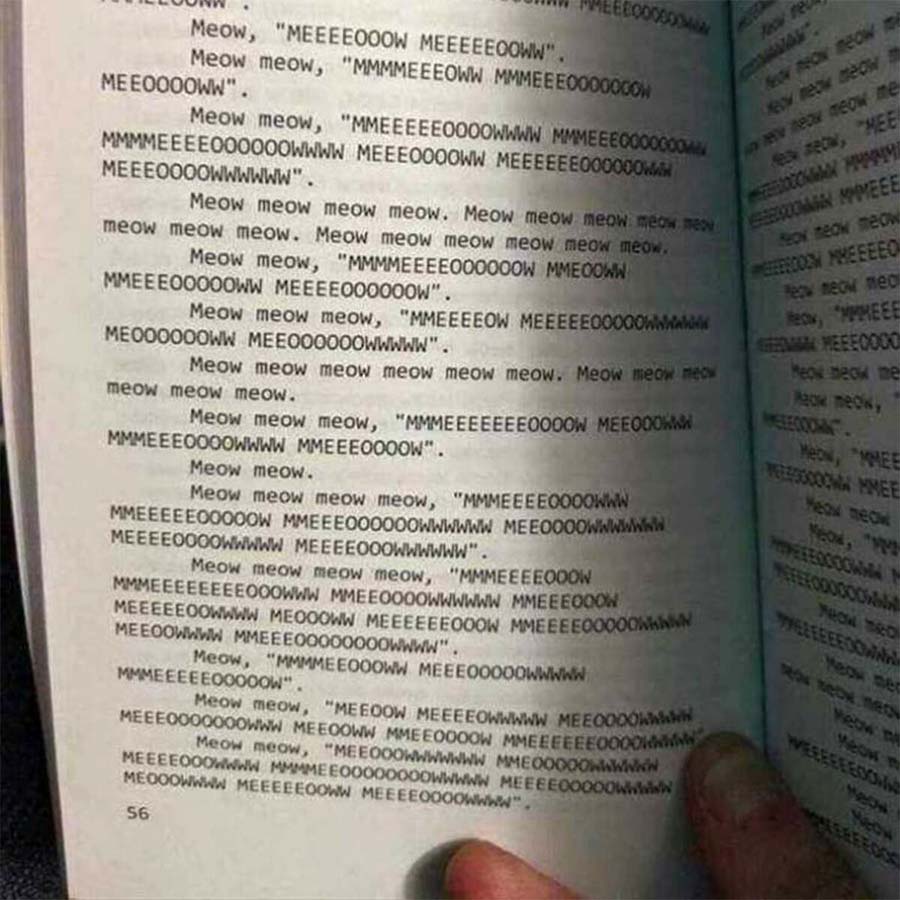 Picdump Nr. 24/2024 (ebaumsworld.com)