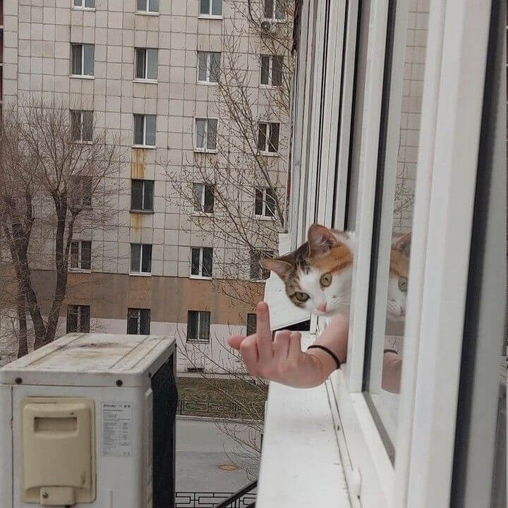 Picdump Nr. 817 (LangweileDich.net)